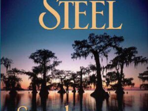 Southern Lights by Danielle Steel (Hardcover)