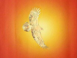 Lone Eagle by Danielle Steel (Hardcover)