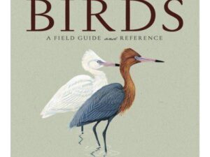 Florida's Birds: A Field Guide and Reference by David S. Maehr and Herbert W. Kale II (Softcover)