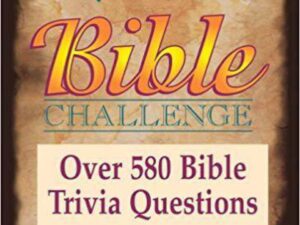 Bible Challenge Pocket Edition: Over 580 Bible Trivia Questions (Games)