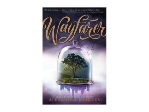 Wayfarer: Passenger, Book 2 by Alexandra Bracken (Hardcover)