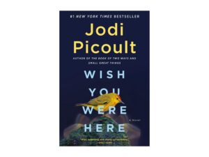 Wish You Were Here by Jodi Picoult (Trade Paperback)