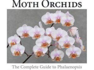 Moth Orchids: The Complete Guide to Phalaenopsis by Steven A. Frowine (Hardcover)