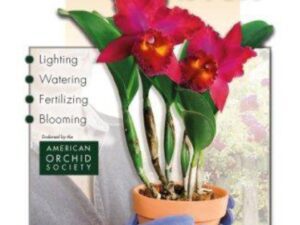 Better-Gro Growing Orchids is Fun: 29th Edition by Albert P. Hollingsworth (Paperback)
