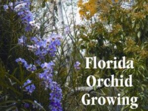 Florida Orchid Growing: Month by Month by Martin Motes, Ph.D. (Paperback / Author Signed)
