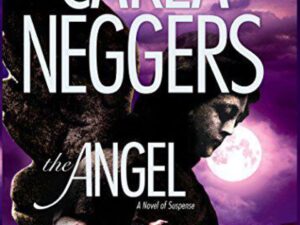 The Angel: Ireland Series, Book 2 by Carla Neggers (Hardcover)