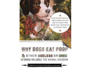 Why Dogs Eat Poop, and Other Useless or Gross Information about the Animal Kingdom by Francesca Gould and David Haviland (Trade Paperback)(Paperback)