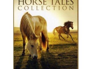 White horse grazing, brown horse running at sunset