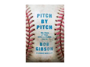 Baseball book cover with blue title