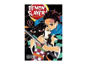 Demon Slayer Volume 1 manga cover art