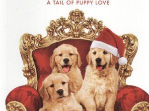 Three golden retriever puppies on festive throne