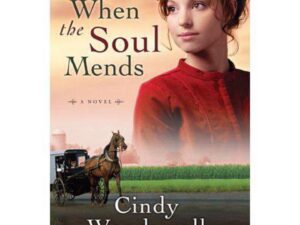 When the Soul Mends by Cindy Woodsmall cover