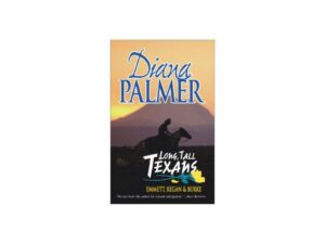 Book cover: cowboy silhouette at sunset