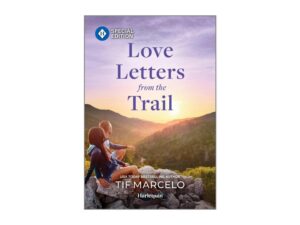Romance book cover: couple watching mountain sunset