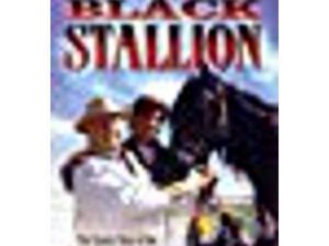The Black Stallion movie poster with horse