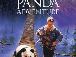 Boy and panda on rope bridge movie poster