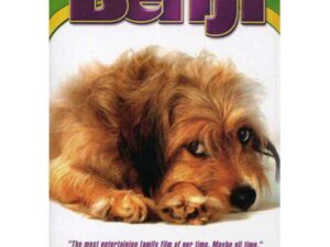Benji poster with brown scruffy dog