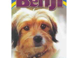 Close-up of Benji dog on poster