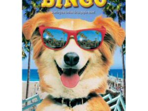 Dog wearing red sunglasses on beach movie poster