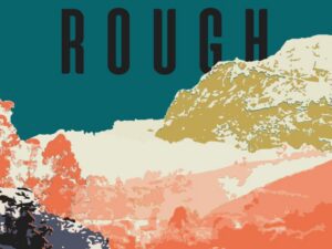 Diamond In The Rough: Wastelands Series, Book 1 by Jayden Thompson (New Trade Paperback)