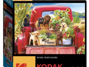 "Stowaways" Kodak 1000 Piece Jigsaw Puzzle by Cra-Z-Art