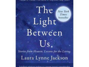 Blue book cover titled The Light Between Us