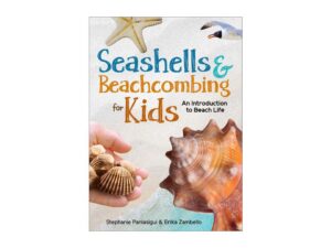 Seashells and Beachcombing for Kids book cover