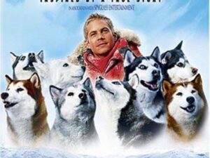 Man with huskies in snowy landscape