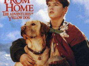 Boy and yellow dog on movie poster