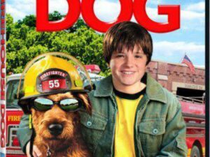 Smiling boy and firefighter dog by firetruck