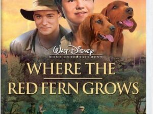 Boys and two red hunting dogs poster