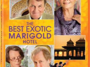 The Best Exotic Marigold Hotel movie poster