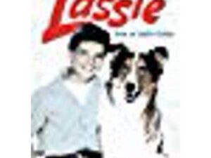 Lassie poster with boy and collie