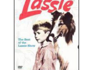 Lassie DVD cover: boy with collie