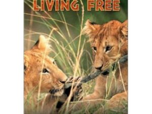 DVD cover showing two lion cubs playing
